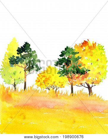 watercolor autumn landscape with deciduous trees, pines and grass, abstract nature background, forest template, yellow and red foliage and plants, hand drawn illustration