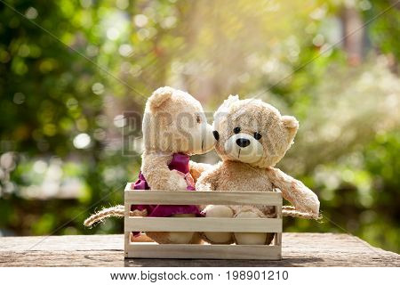 Close up bear kiss lovely brown two teddy bear in wooden box on wood concept love and understanding. With lens flare Natural background