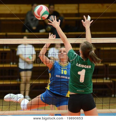 KAPOSVAR, 헝가리-11 월 14 일: Szandra Szombathelyi (L) 공을 헝가리어 NB 나 르 친다
