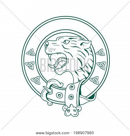 Illustration of a Scottish Wildcat or Highlands tiger Head viewed from side set inside Celtic Belt done in hand drawn sketch drawing.
