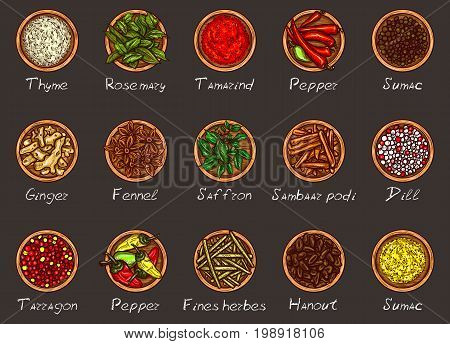 Vector illustration of a variety of spices and herbs in wooden bowls on a black background, top view. Template, design element