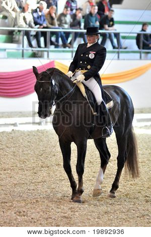 KAPOSVÁR, Maďarsko - 9. října: Ulrike Prunthaller (AUT) a její kůň (Bartlut to jsem Da Pari) v akční h