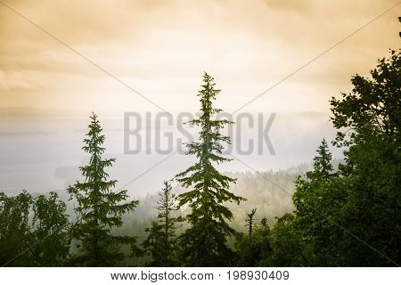 A Beautiful Panorama Of Lake And Forest From Koli National Park Peaks