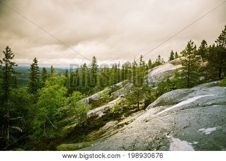 A Beautiful Panorama Of Lake And Forest From Koli National Park Peaks