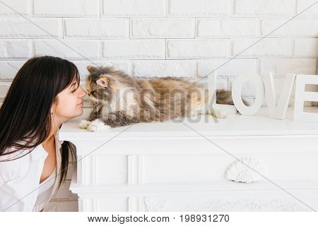 Fluffy beautiful cat and her young owner rubbing noses. Charming family pets and people's love to them