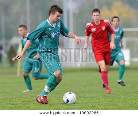 KAPOSVAR, Hongarije - 16 oktober: Arpad Horvath (L) in actie op de Hongaarse National Championship u