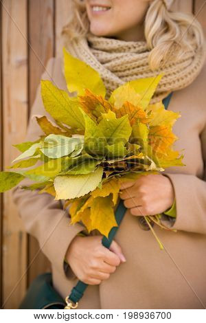 Closeup of woman's hands holding beautiful bunch of yellow marple leaves. Young smiling woman walking in park and making bouquet of autumn leaves. Happy autumn thanksgivining and lifestyle concept