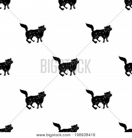 Norwegian Forest Cat icon in black design isolated on white background. Cat breeds symbol stock vector illustration.