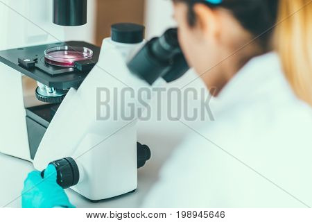 Scientist Researching In Laboratory, Toned Image, Selective Focus