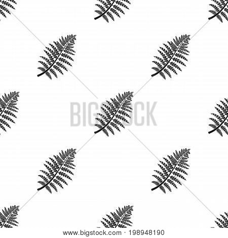 Prehistoric plant icon in black design isolated on white background. Dinosaurs and prehistoric symbol stock vector illustration.