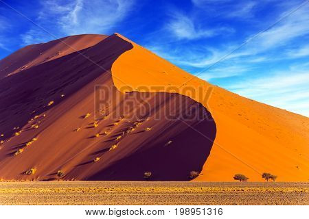 Namibia, South Africa. The concept of extreme and exotic tourism. Sharp border of light and shadow over the crest of the dune. The Namib-Naukluft at sunset