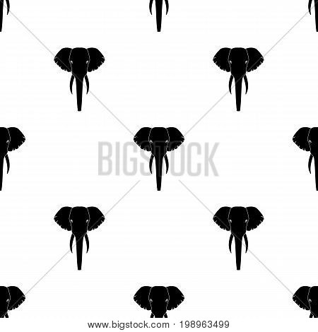 Elephant icon in black design isolated on white background. Realistic animals symbol stock vector illustration.