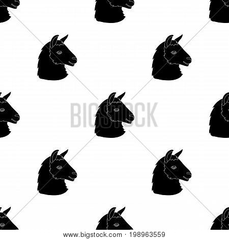 Lama icon in black design isolated on white background. Realistic animals symbol stock vector illustration.