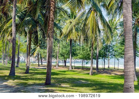 Khao Sam Roi Yot National Park In Kui Buri District, Prachuap Khiri Khan Province, Thailand