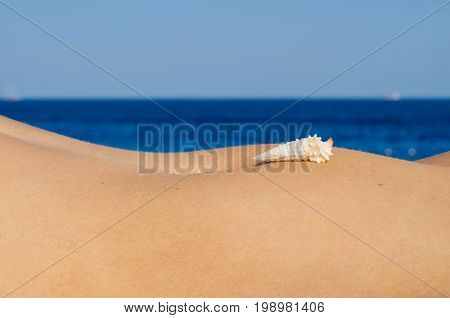 The shell lies on the tummy of a girl on the seashore