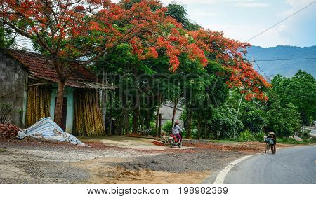 Mountain Road In Mai Chau, Northern Vietnam