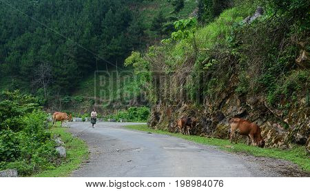 Mountain Road In Mai Chau, Northern Vietnam