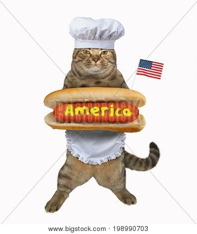 The cat cook has cooked a big delicious hot dog. White background.