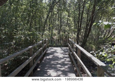 Bridge of the surrounding road of the reservoir of Navacerrada. Madrid's community. Spain. Europe
