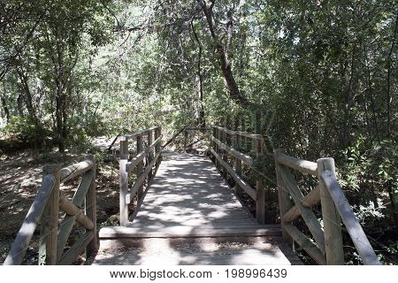 Bridge of the surrounding road of the reservoir of Navacerrada. Madrid's community. Spain. Europe