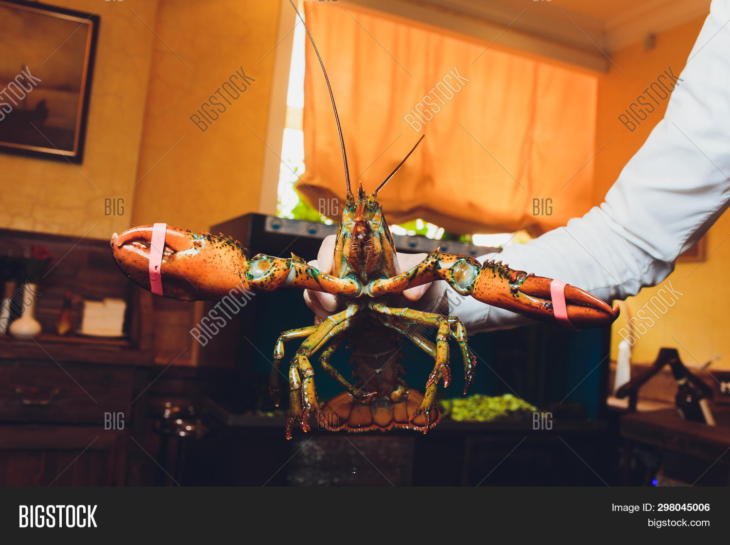 Lobster. Hand Holding Image & Photo (Free Trial) Bigstock
