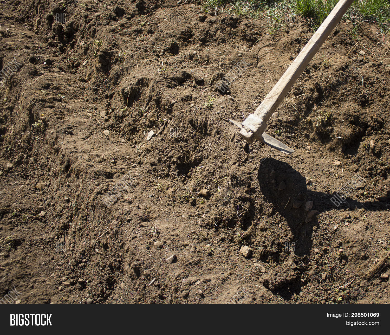 Closeup Photo Digging Image & Photo (Free Trial) Bigstock