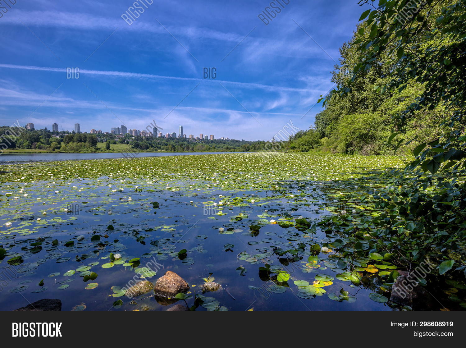 Deer Lake Park Image & Photo (Free Trial) Bigstock