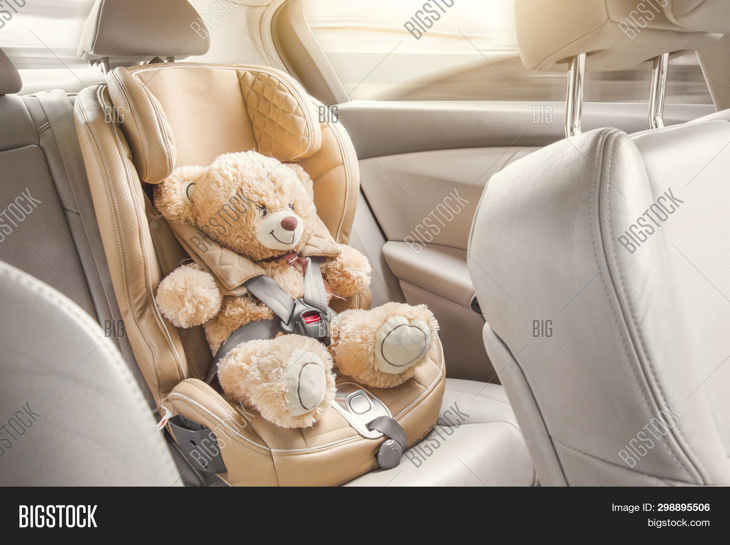 teddy bear seat for baby