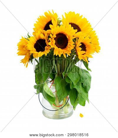 Sunflowers Fresh Flowers Bouquet Isoltaed On White Background