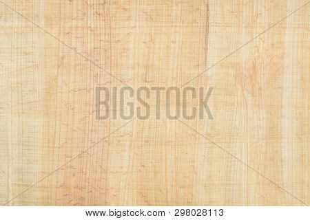 Real Egypt Papyrus Paper Background And Texture Number 17. Close Up Macro.