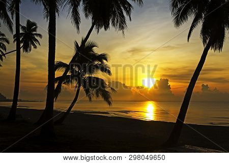 Sunrise And Shadow Of Group Coconut On Beach At Thung Wua Lan Beach, Chumphon Province Thailand