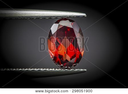 Natural Red Garnet Gems Stone Oval Shape Cut.holding Stone By Tweezers.
