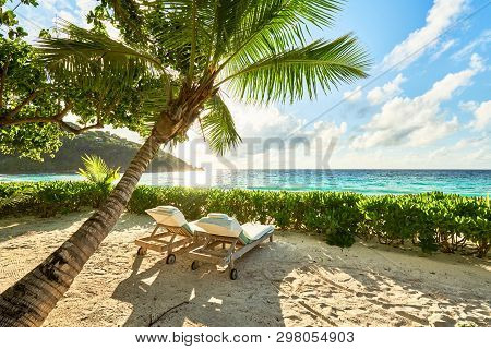 Wooden Deck Chairs Under A Palm Tree Umbrella On A Sandy Exotic