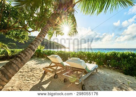 Wooden Deck Chairs Under A Palm Tree Umbrella On A Sandy Exotic