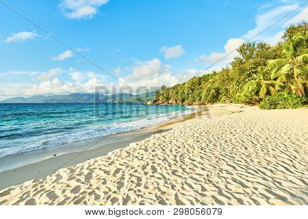Anse Soleil With Coconuts Palm Tree And White Sand, Mahe, Seychelles