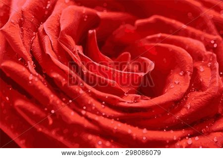 Red Rose Close-up With Drops Of Dew. Abstract Background.