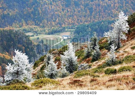 Sent efterår i Cozia National Park i Rumænien, Europa