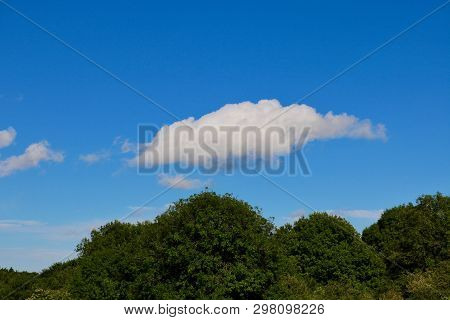 Blue Sky With A Few Clouds Over Dark Green Trees