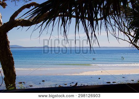 View Of Beach At Noosa With Overhanging Palm Fronds