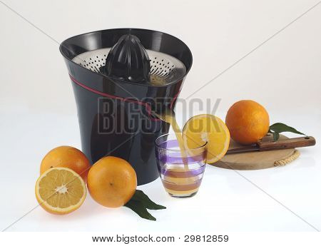 オレンジ絞り器