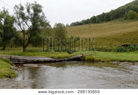 Homemade Bridge On The Mountain River Yarovka In The Taiga Settlement Of Generalka Of The Altai Terr