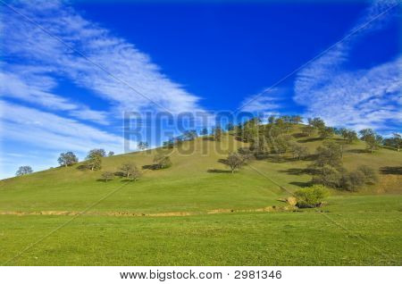 California tarım arazisi