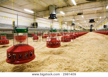 Ferm drobiu