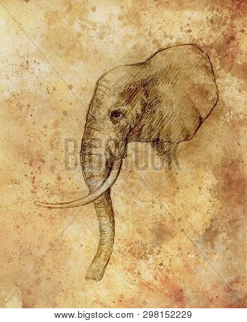 Drawing Of An Elephant, Profile Drawing With Lines And Shades.