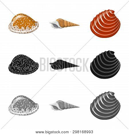Isolated Object Of Animal And Decoration Icon. Set Of Animal And Ocean Vector Icon For Stock.