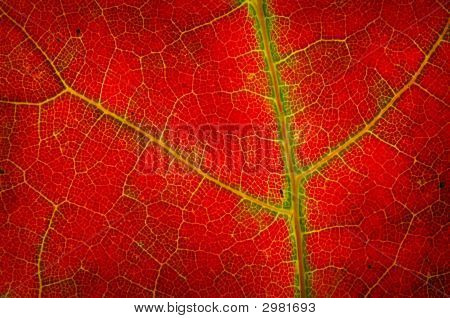 Rivermap