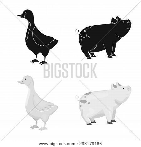 Vector Design Of Breeding And Kitchen  Logo. Set Of Breeding And Organic  Stock Vector Illustration.