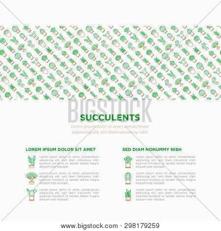 Cactus And Succelents In Pots Concept With Thin Line Icons For Banner, Print Media. Modern Vector Il