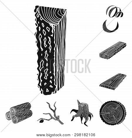 Vector Design Of Hardwood  And Construction Icon. Set Of Hardwood  And Wood Stock Vector Illustratio