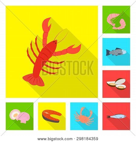 Vector Illustration Of Product And Ocean Sign. Set Of Product And Restaurant Vector Icon For Stock.